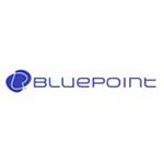https://excellence.exis.website/wp-content/uploads/2023/06/BLUEPOINT_LOGO_min.jpg