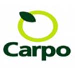 https://excellence.exis.website/wp-content/uploads/2023/06/CARPO_LOGO_min.jpg