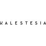 https://excellence.exis.website/wp-content/uploads/2023/06/kalestesia-logo_min.jpg